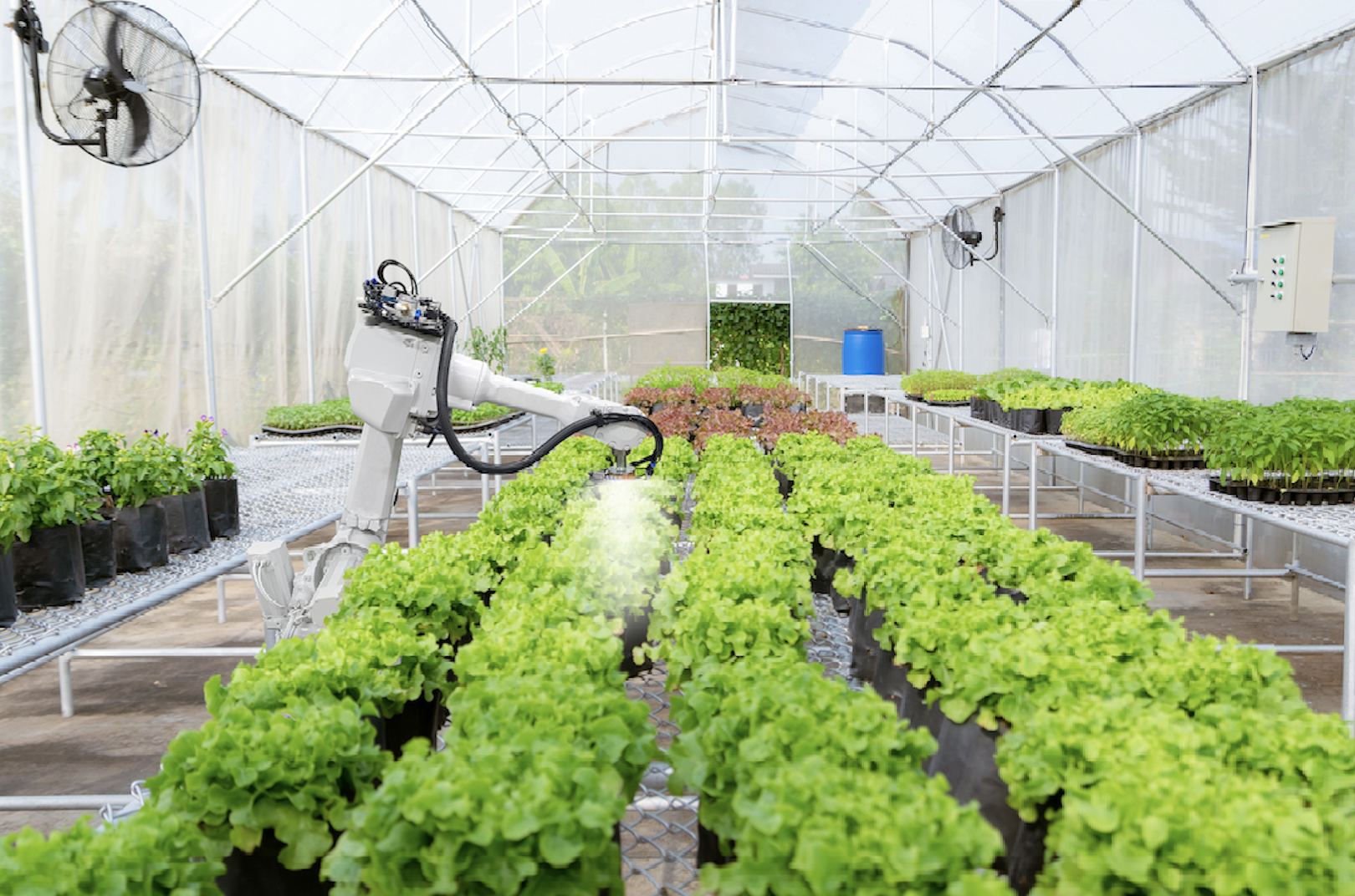 光合有效輻射測(cè)量 