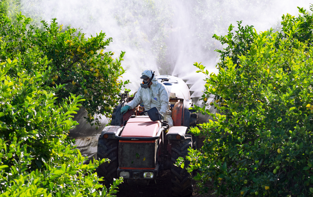 可變光程浸入式探頭測量農(nóng)達(dá)草甘膦的吸光度